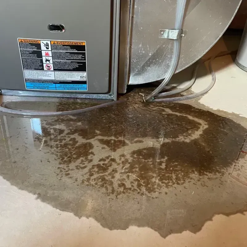 Appliance Leak Cleanup in Pollock Pines, CA